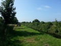 2013-07-18 10_44 034